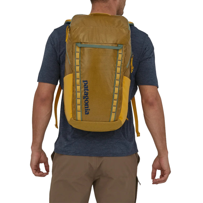 Load image into Gallery viewer, Patagonia Black Hole Backpack - 32L
