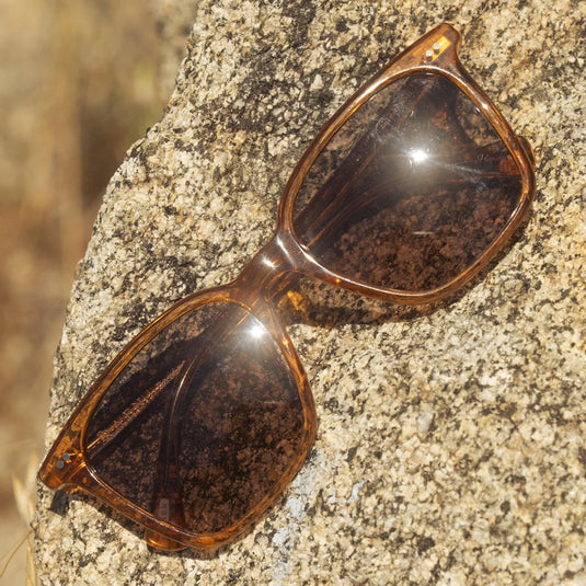 RAEN Darine Sunglasses - Golden Hour/Daydream