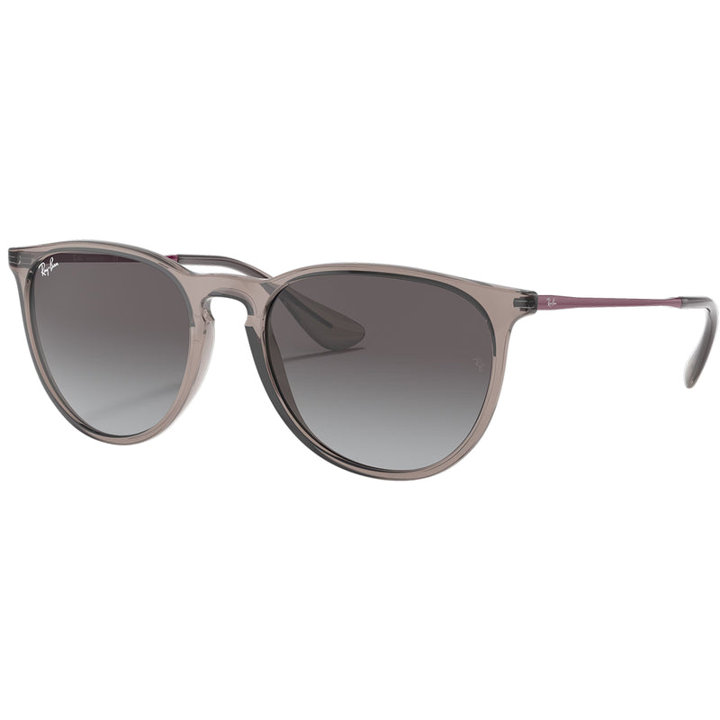 Load image into Gallery viewer, Ray-Ban Erika Color Mix Sunglasses - Polished Transparent Grey/Grey
