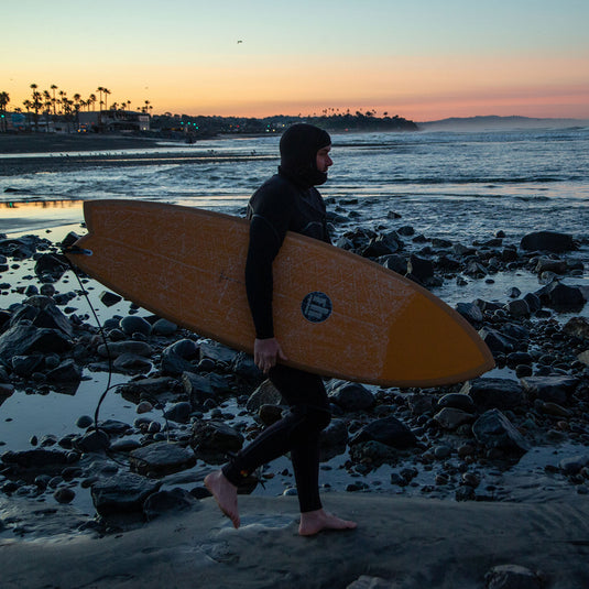 Roger Hinds Dream Fish Fusion-HD Surfboard