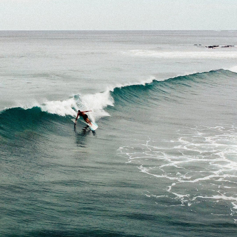 Load image into Gallery viewer, Roger Hinds Renaissance Tuflite Surfboard
