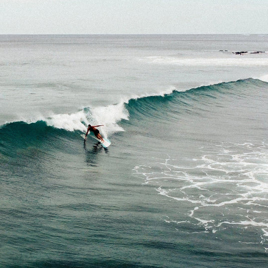 Roger Hinds Renaissance Tuflite Surfboard