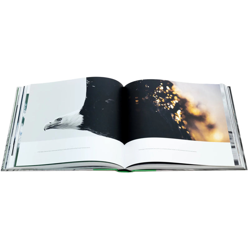 Load image into Gallery viewer, Cold Comfort Book by Marcus Paladino
