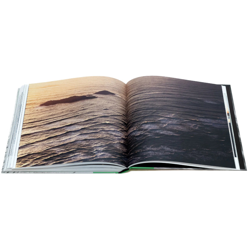 Load image into Gallery viewer, Cold Comfort Book by Marcus Paladino
