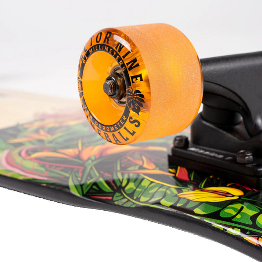 Sector 9 Ft. Point Eden 34" Longboard Complete