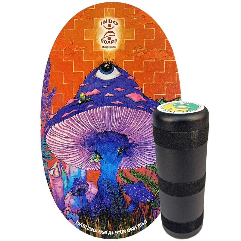 Load image into Gallery viewer, INDO BOARD Original Balance Board Deck &amp; Roller
