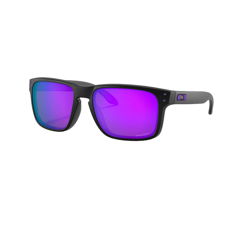 Load image into Gallery viewer, Oakley Holbrook Sunglasses
