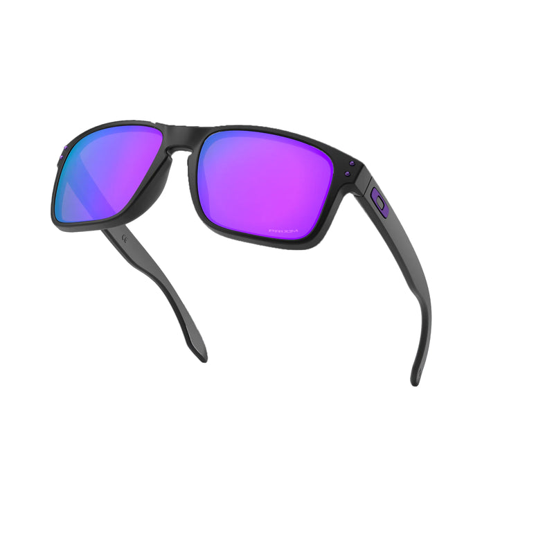 Load image into Gallery viewer, Oakley Holbrook Sunglasses
