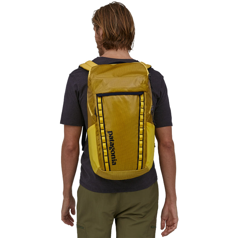 Load image into Gallery viewer, Patagonia Black Hole Backpack - 32L
