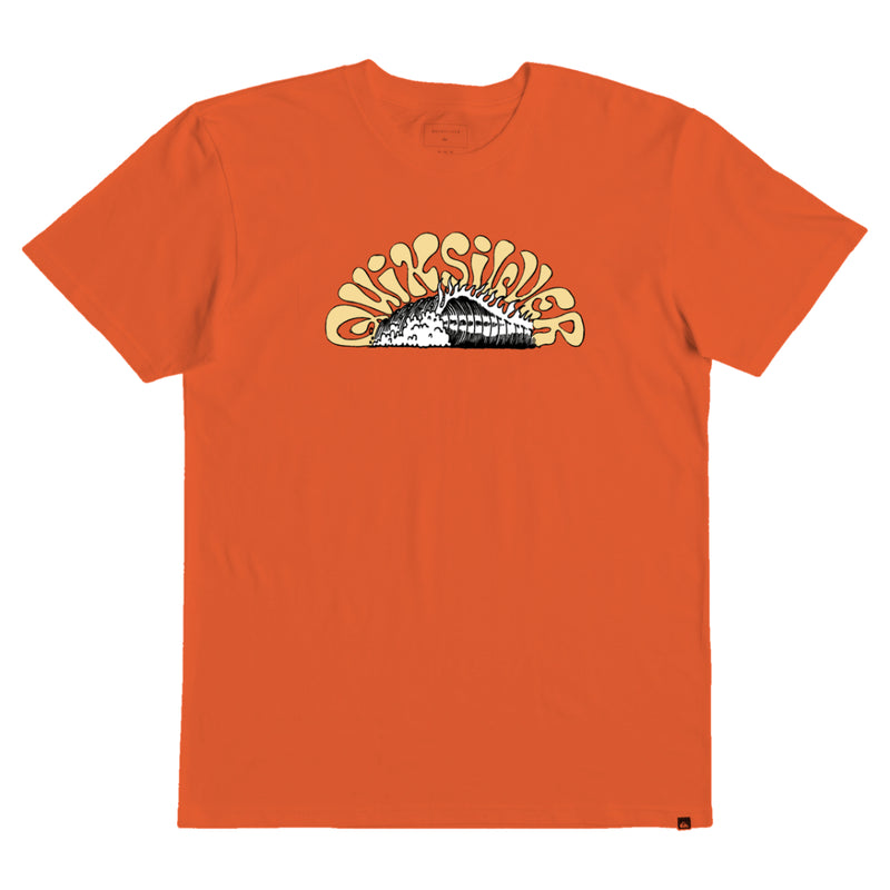 Load image into Gallery viewer, Quiksilver Youth Homework T-Shirt
